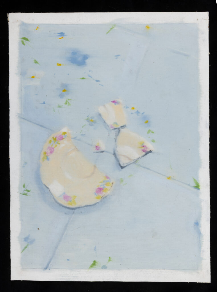 plato de porcelas, 2024, 33 x 25 cm, oleo sobre tela suelta